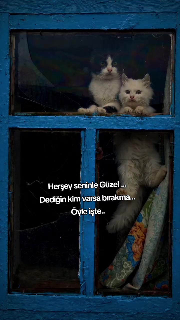 @kyplrdym