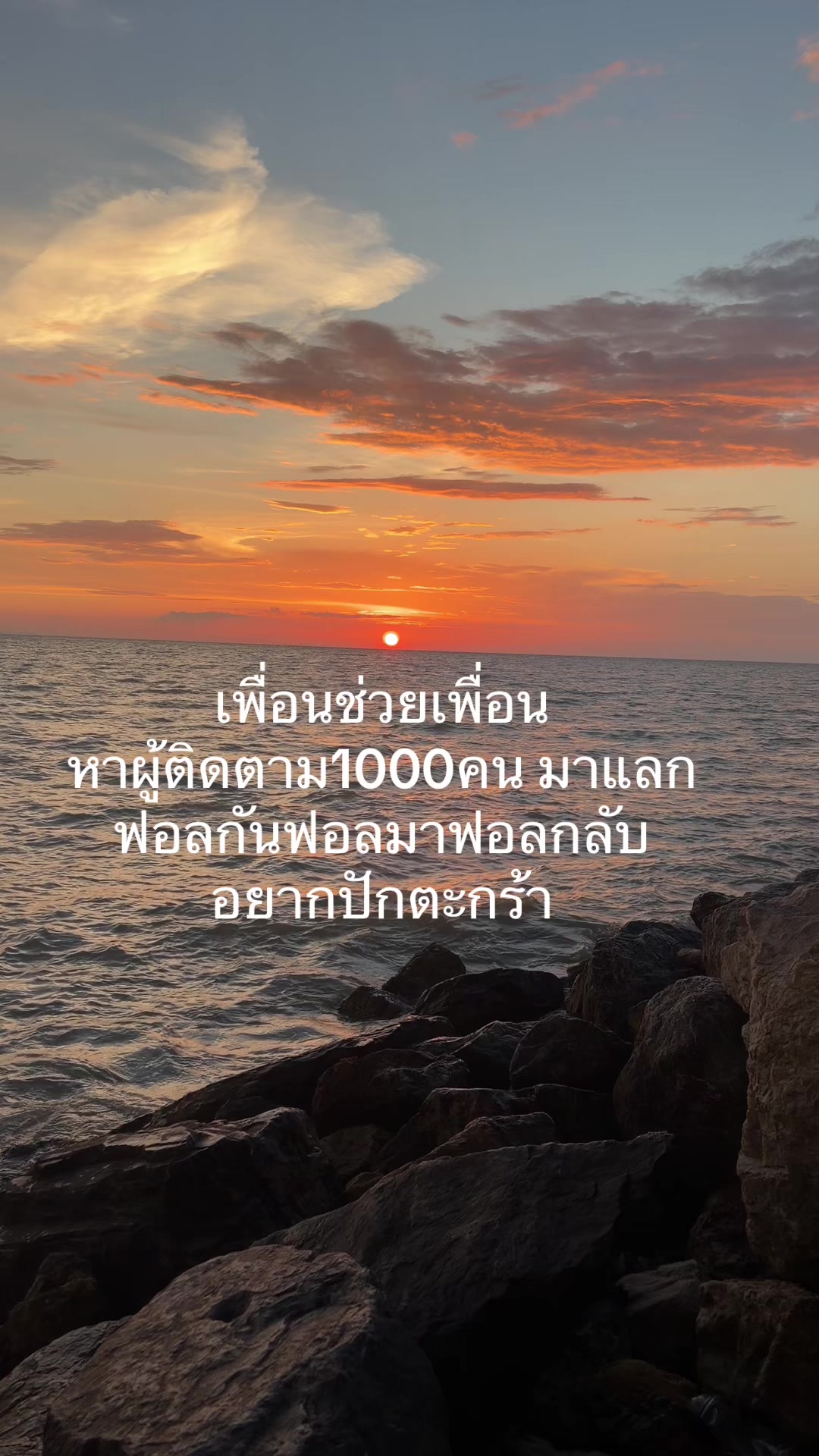 @bang_review0405
