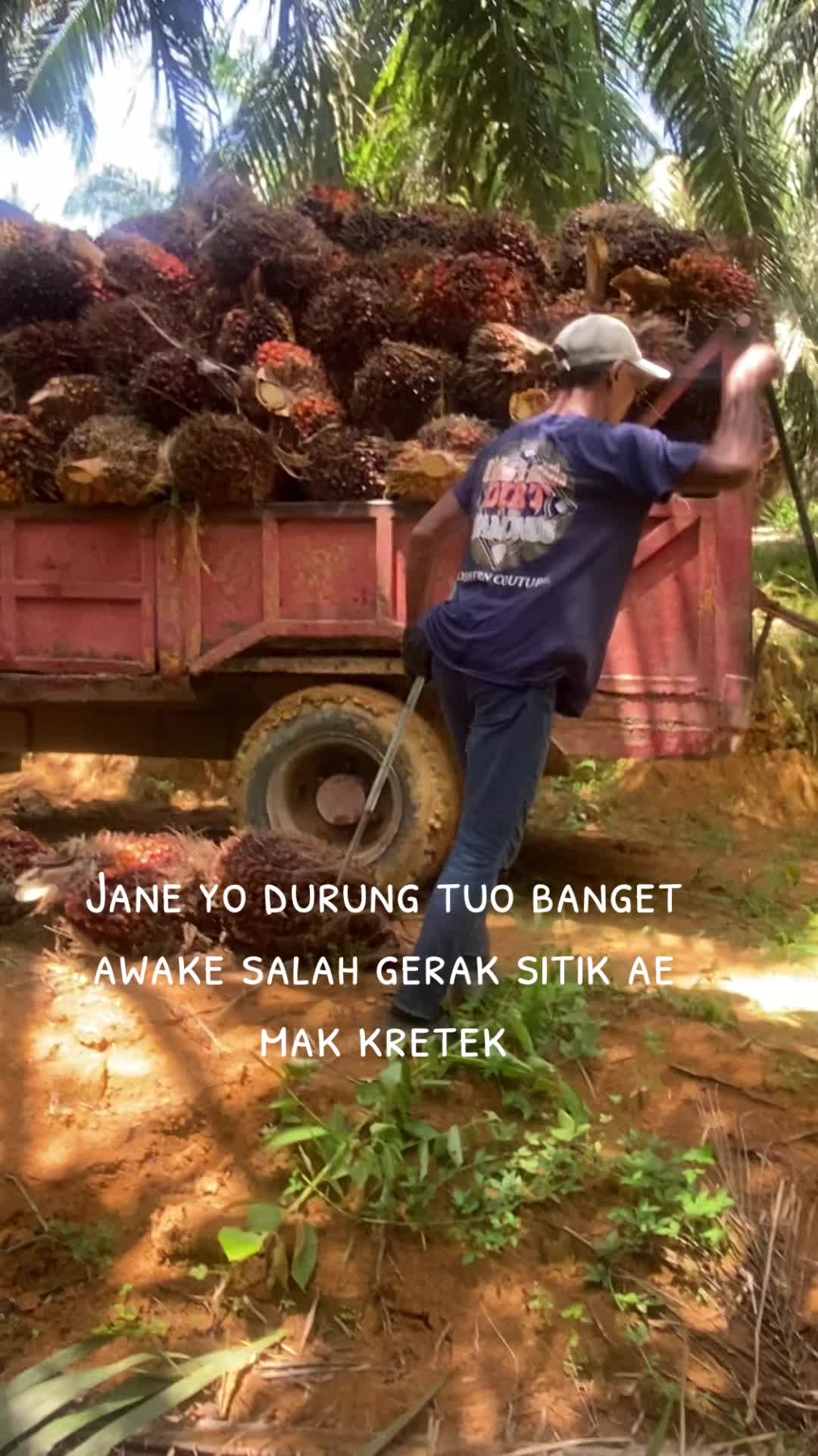 @Agus Pandu769