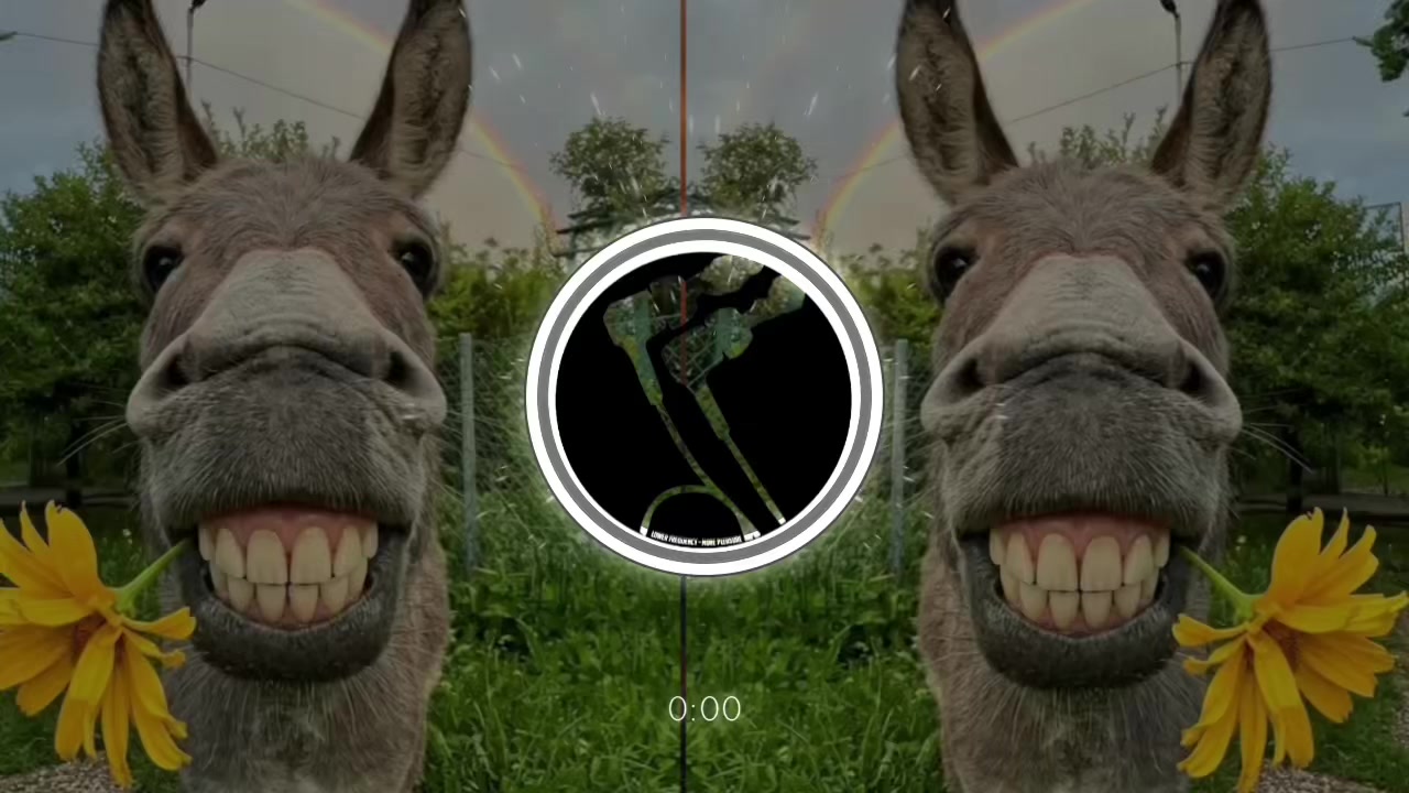 @𝘽𝙡𝙖𝙘𝙠 𝙧𝙚𝙢𝙞𝙭 🖤🎧
