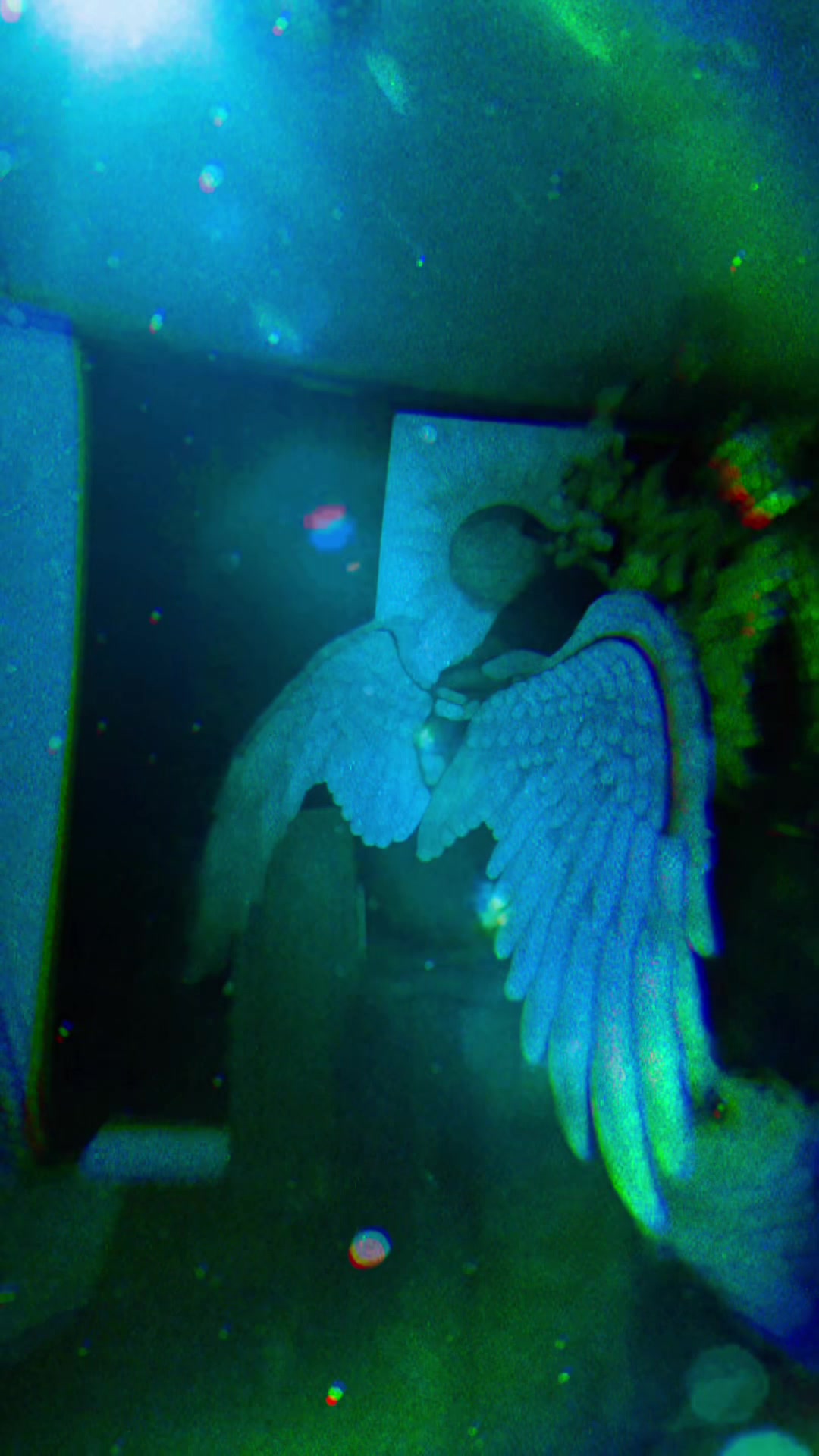 @zpookyghostboi