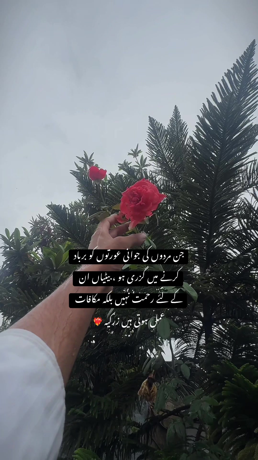 @Asad Khan Swati 🇦🇬