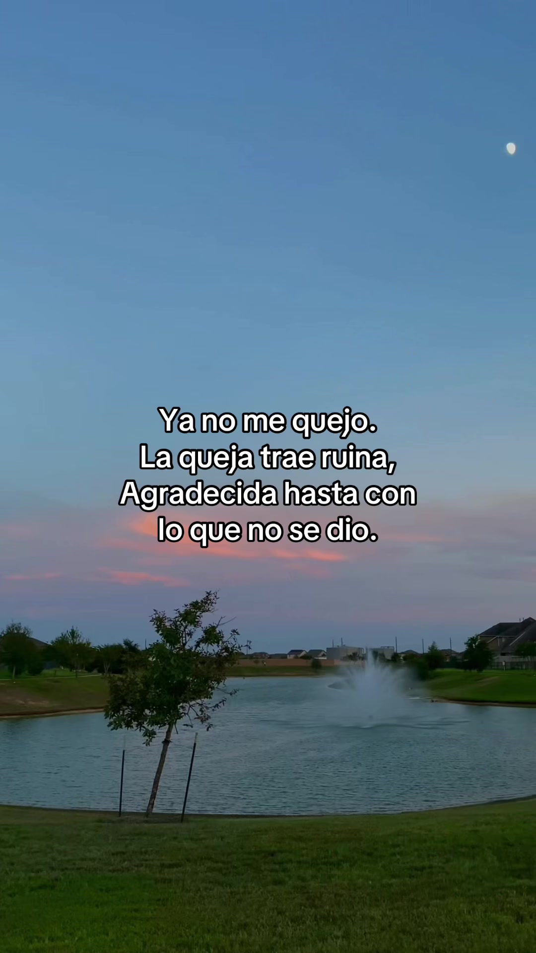 @Barbarela