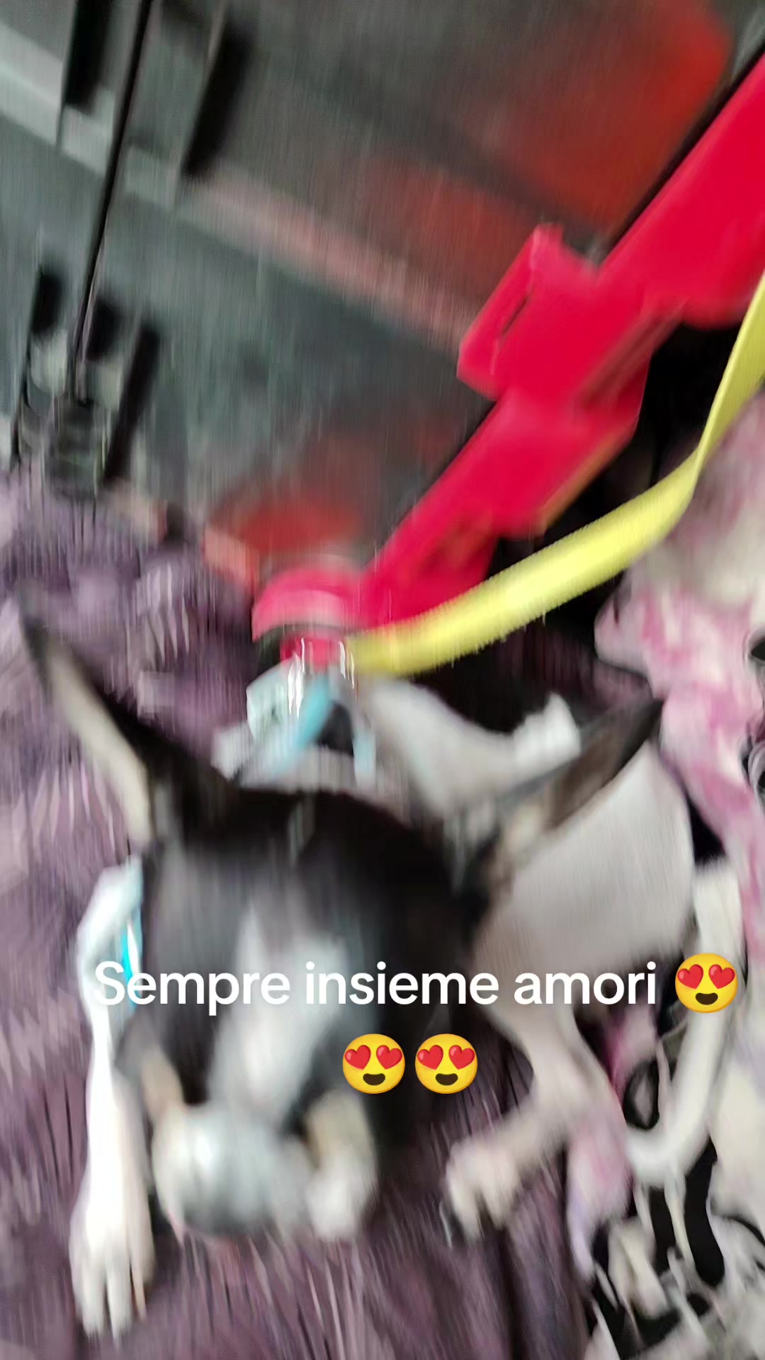 @GLI Sgomberi DI Monica paderi