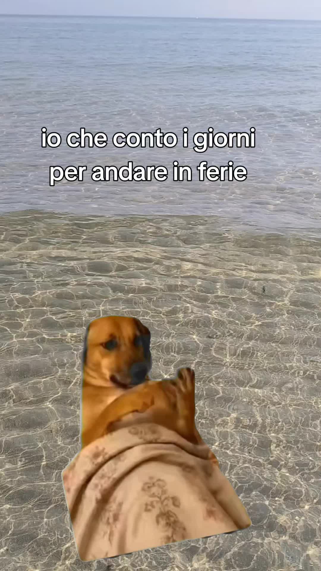 @Maria Elia