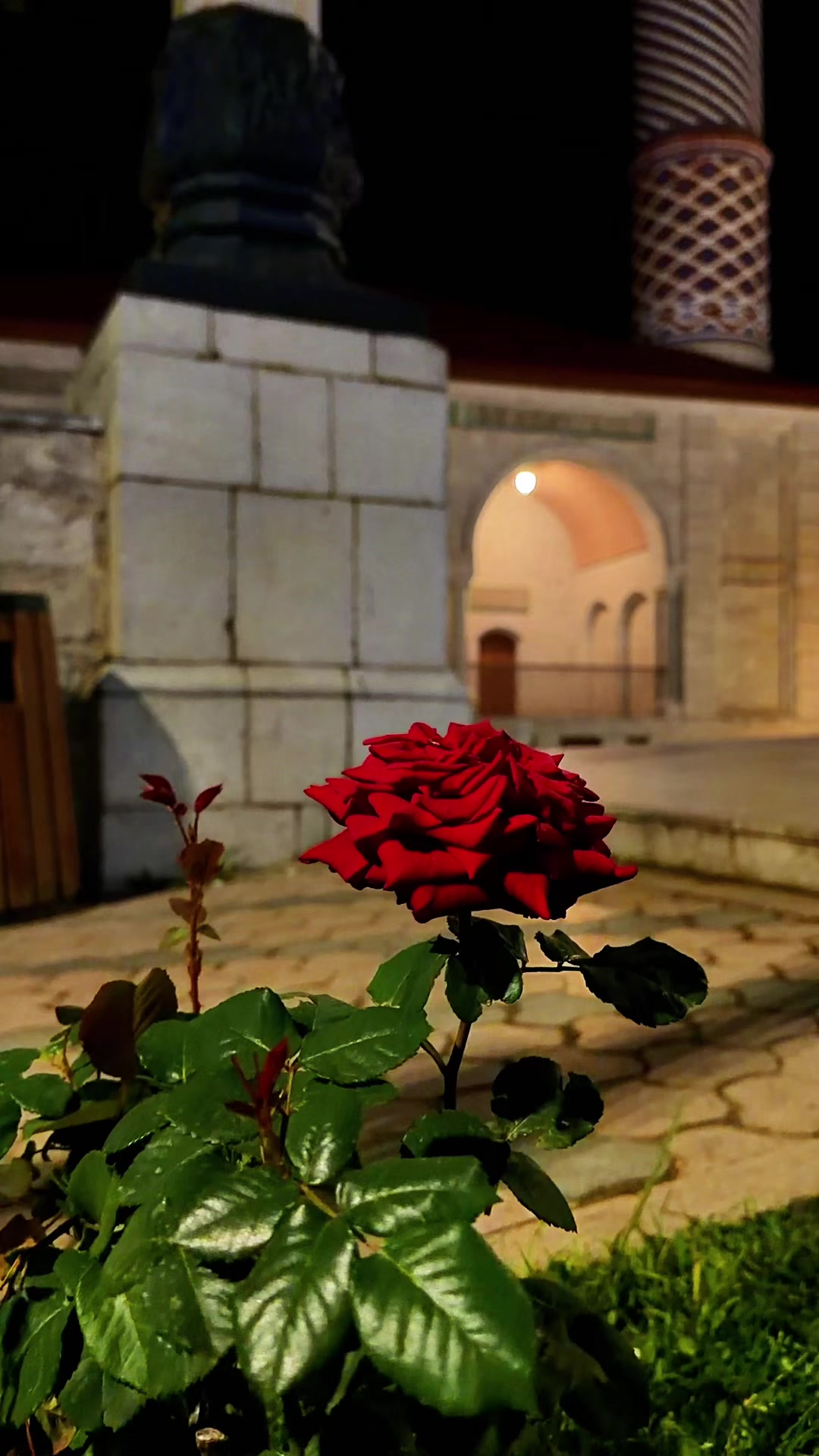 @🇦🇿 𝑬𝒎𝒊𝒍 🇹🇷