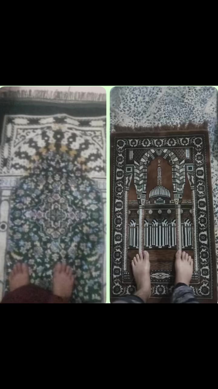 @تارڑ ذادی ❤️✨