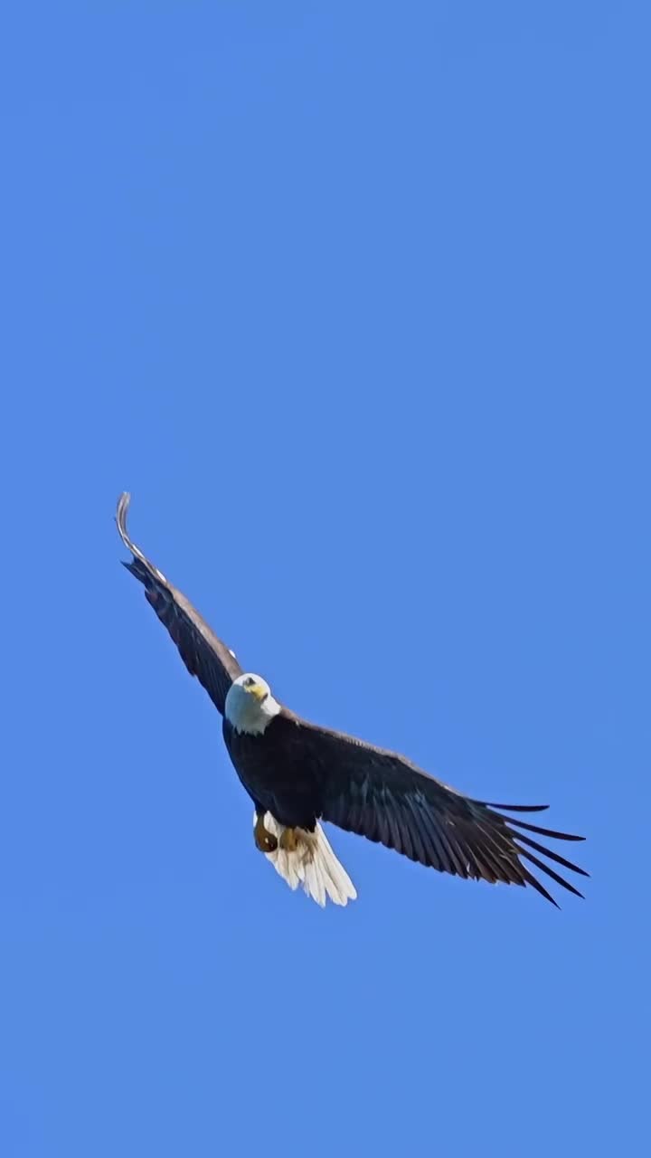 @🦅ZA_KO🦅