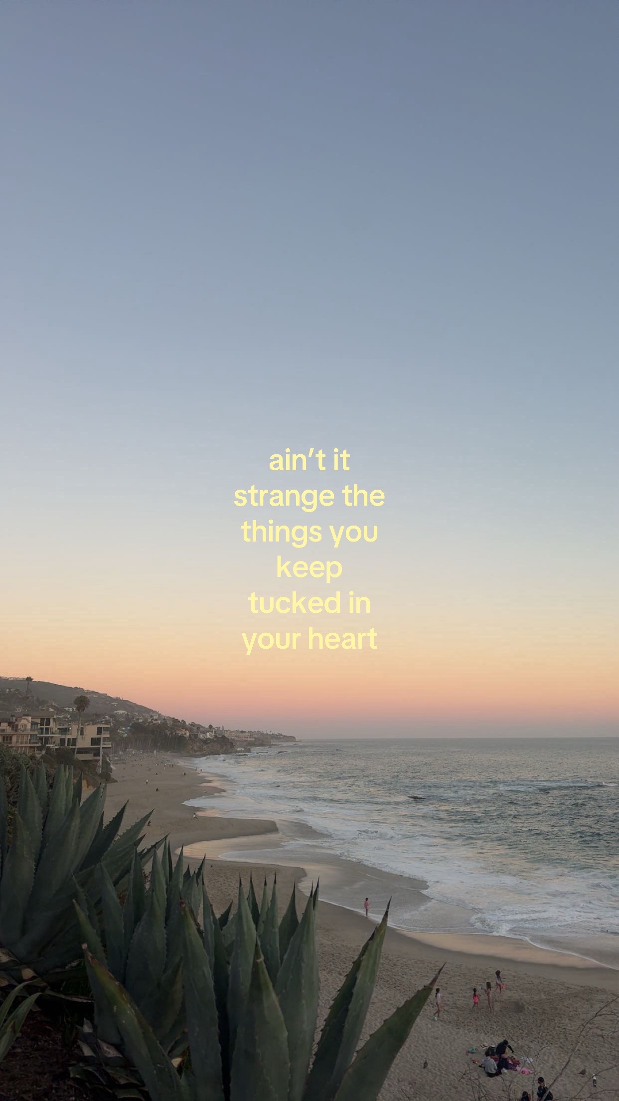 @hi
