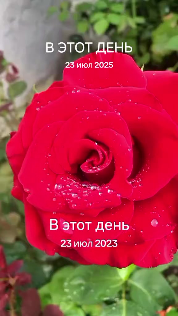 @Ангел дарит любовь