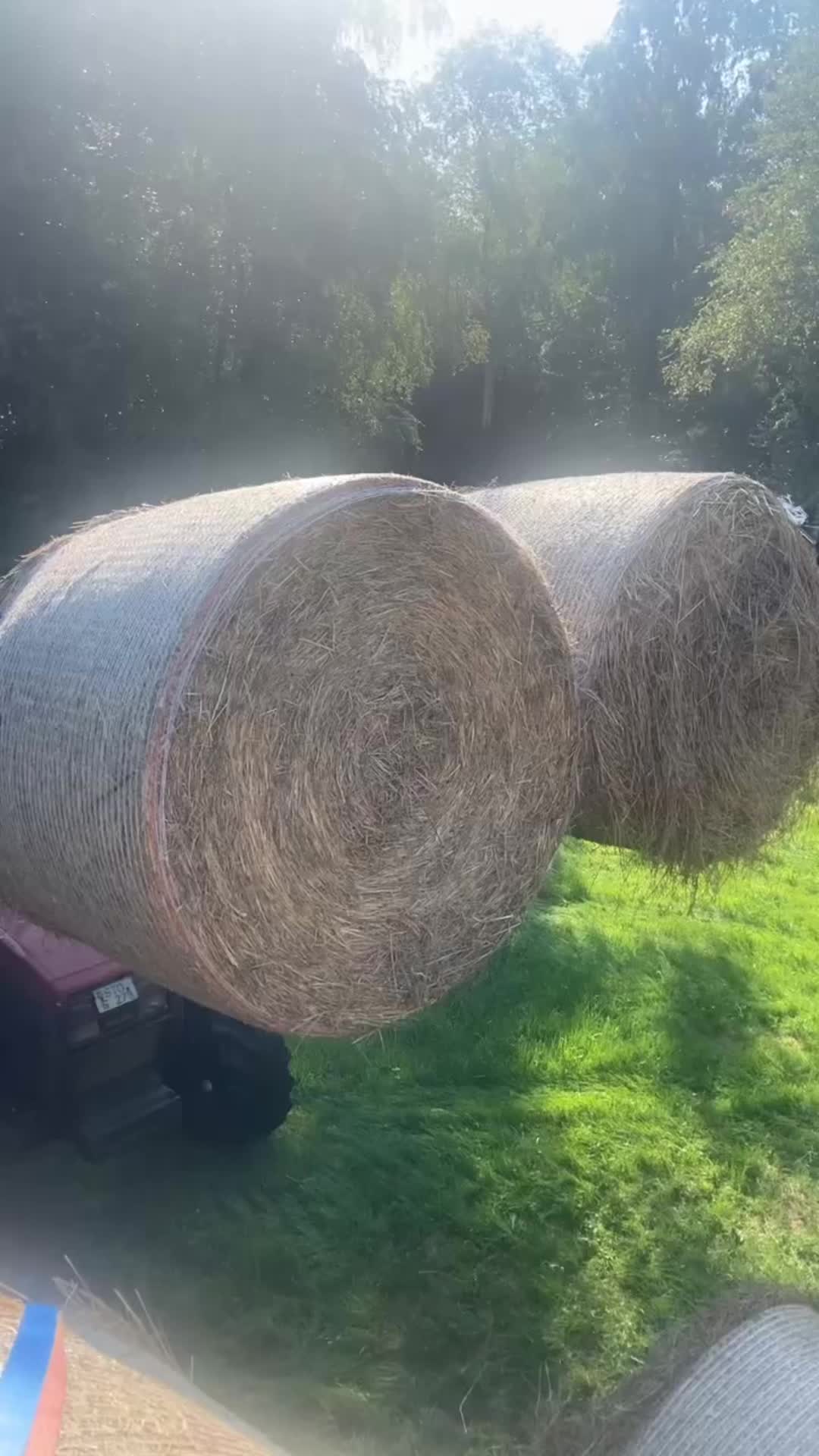 @ℒ𝒾𝓃𝒸𝒽ℯ𝓃 🤍🐮