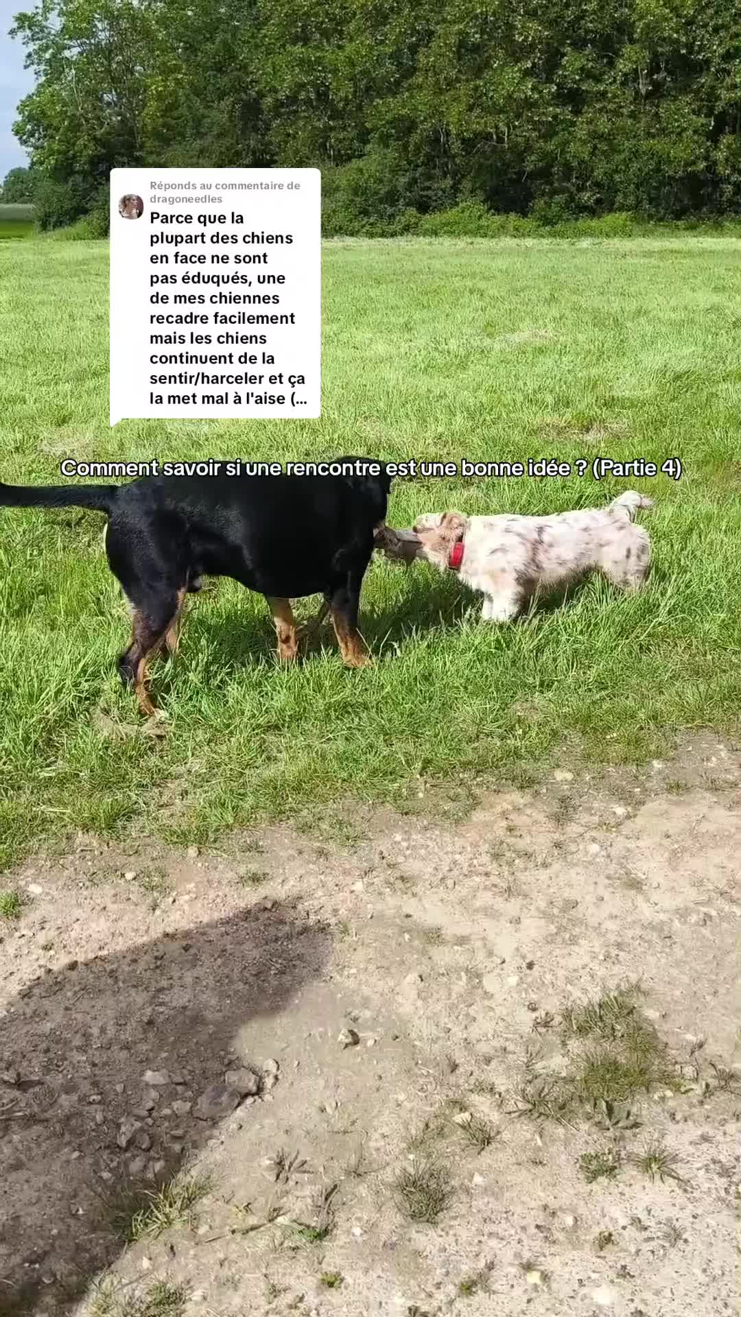 @Asta 🐻 Le petit frère 🤎