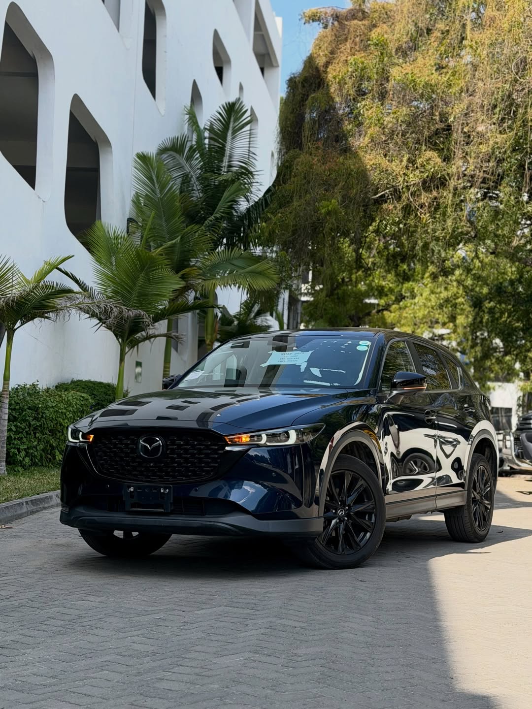 @JANESON MOTORS