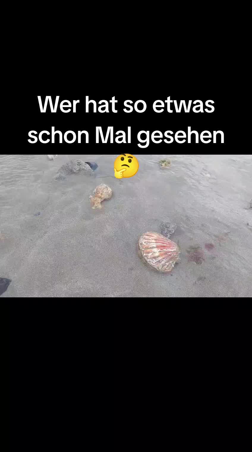 @ginaseele