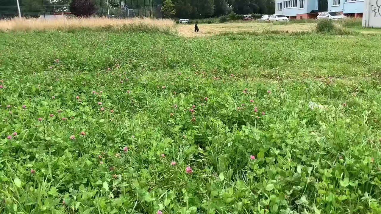 @𝙏𝙚𝙮𝙖🥏🦦