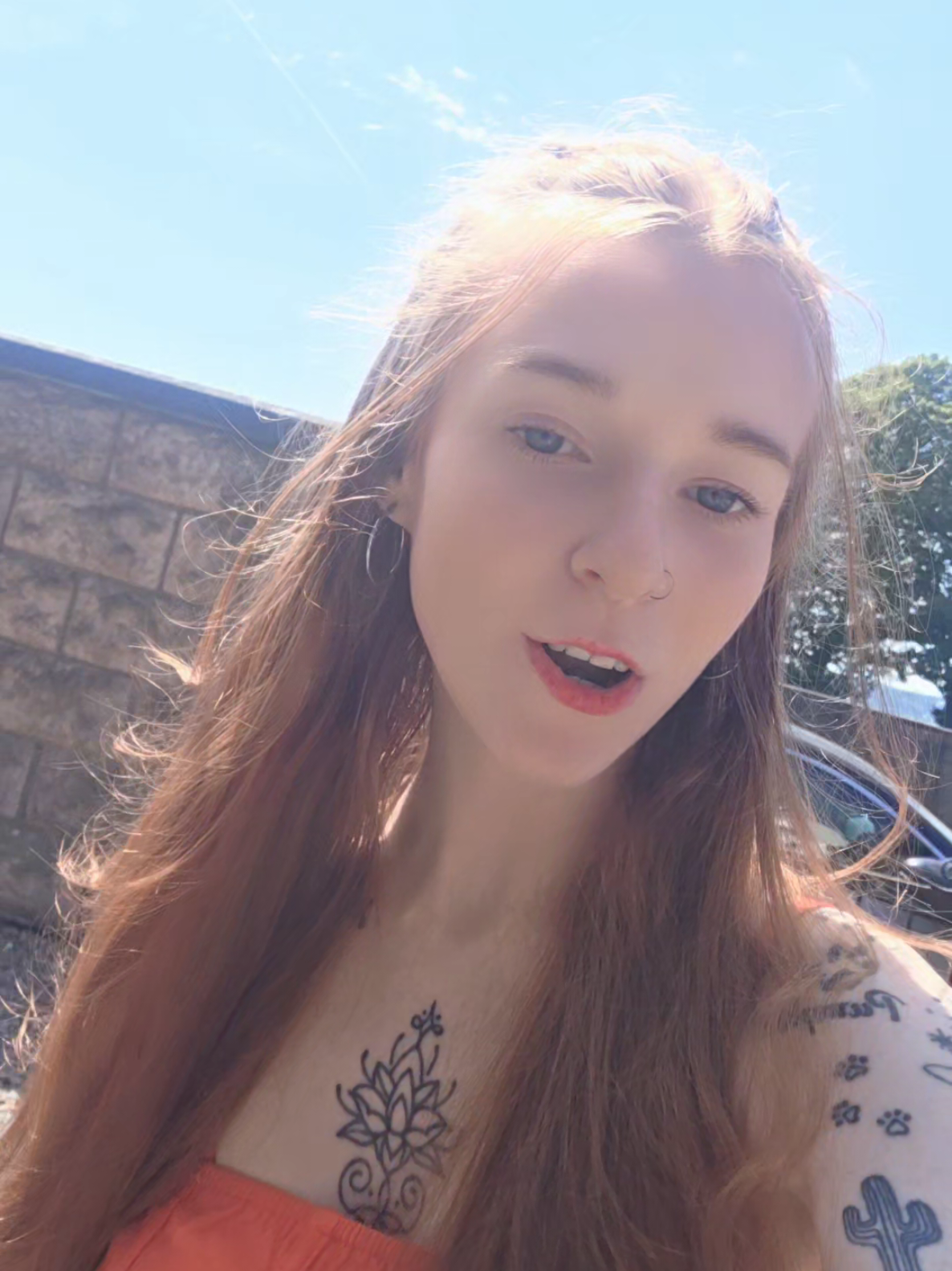 @LilRedCanvas