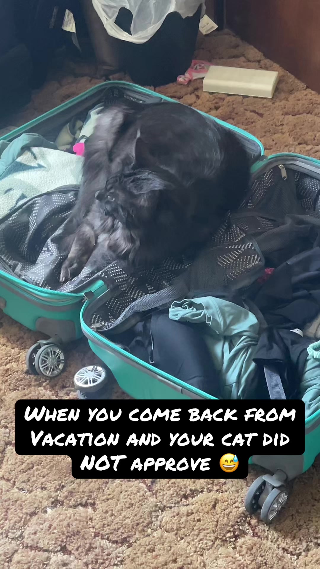 @Kara