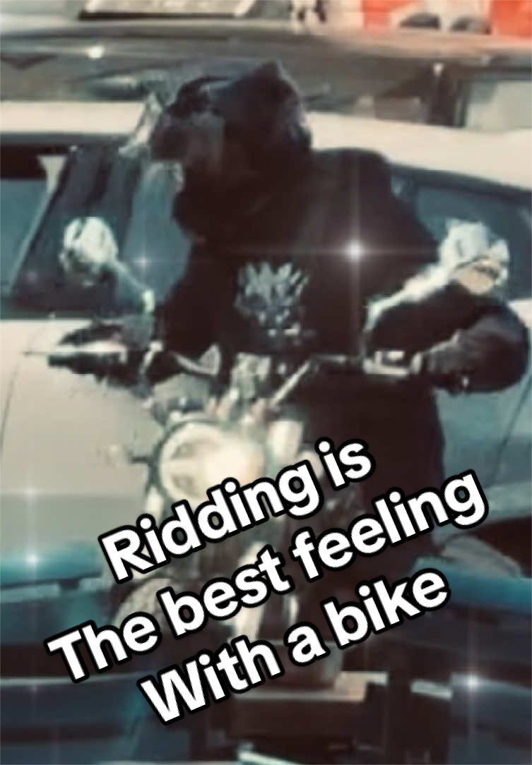 @Dylan🇪🇺