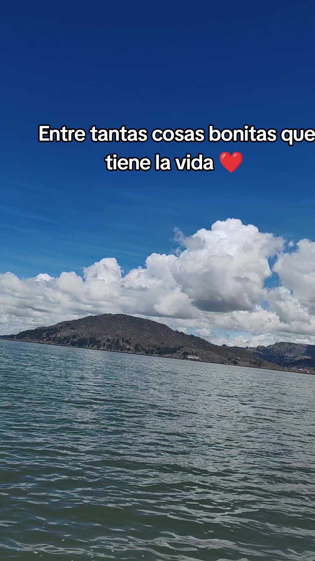 @Jennifer Sotelo Rodriguez