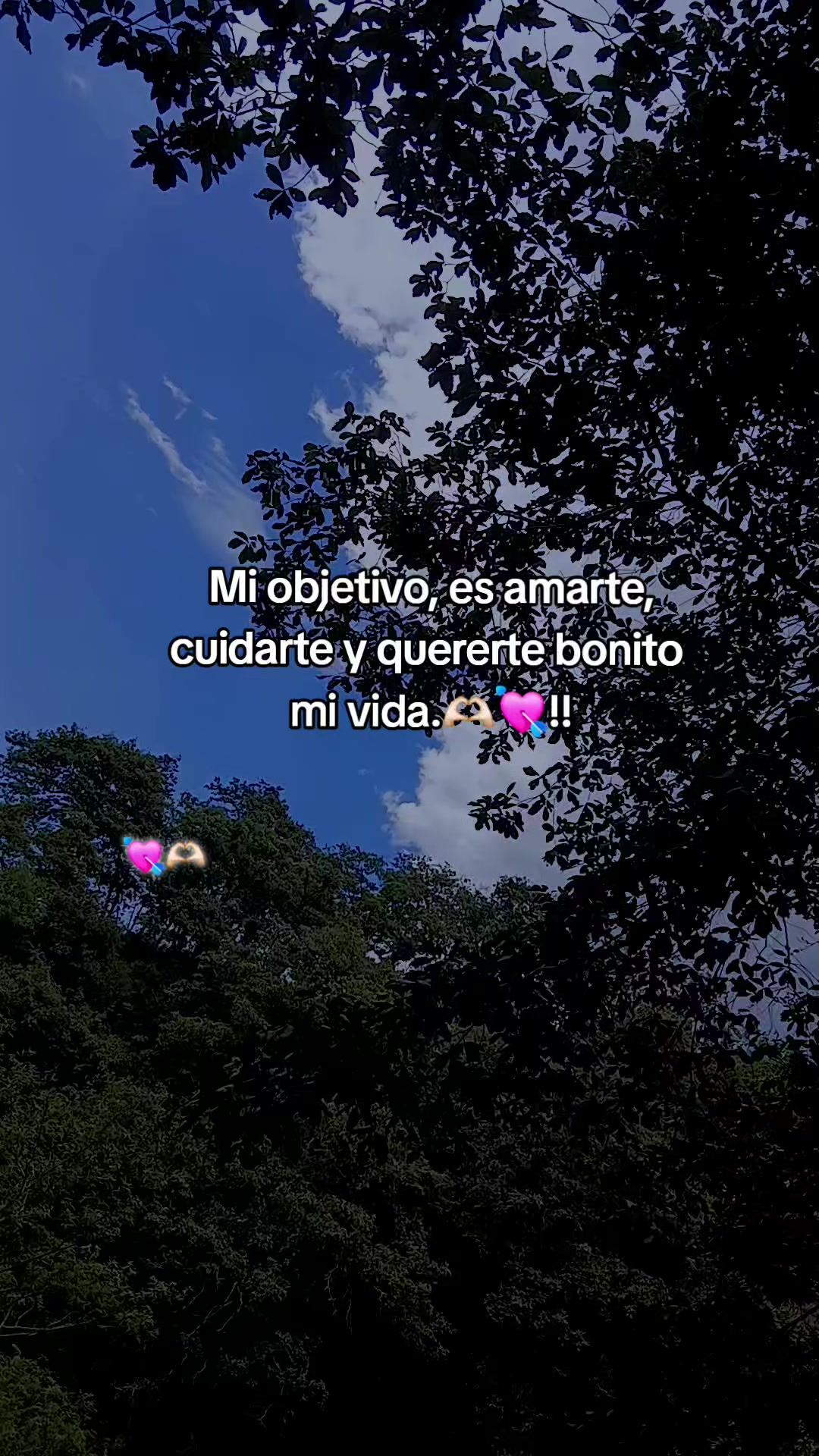 @🫪🪽ingrid 502 🫶🥺