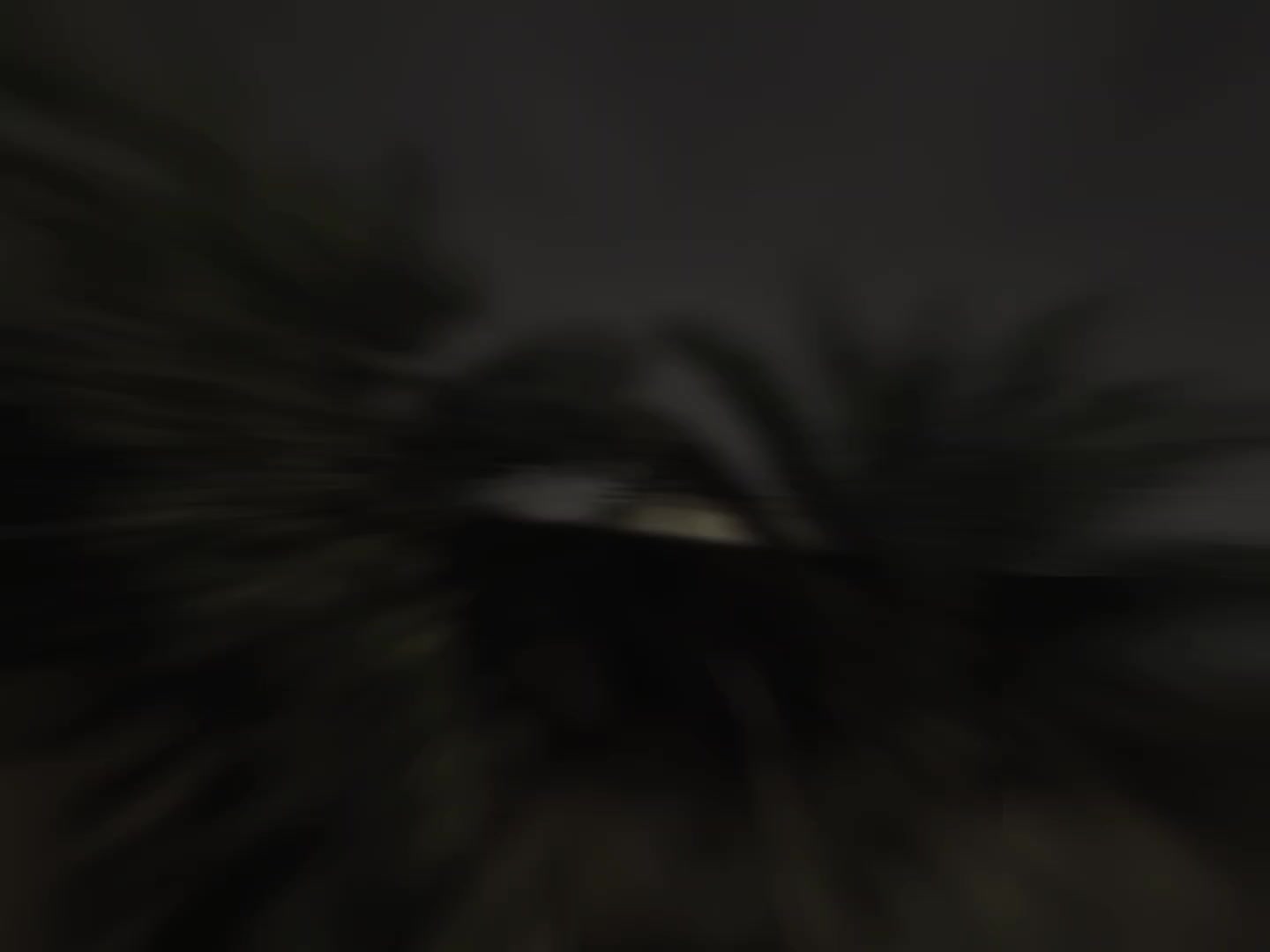 @Maestro.