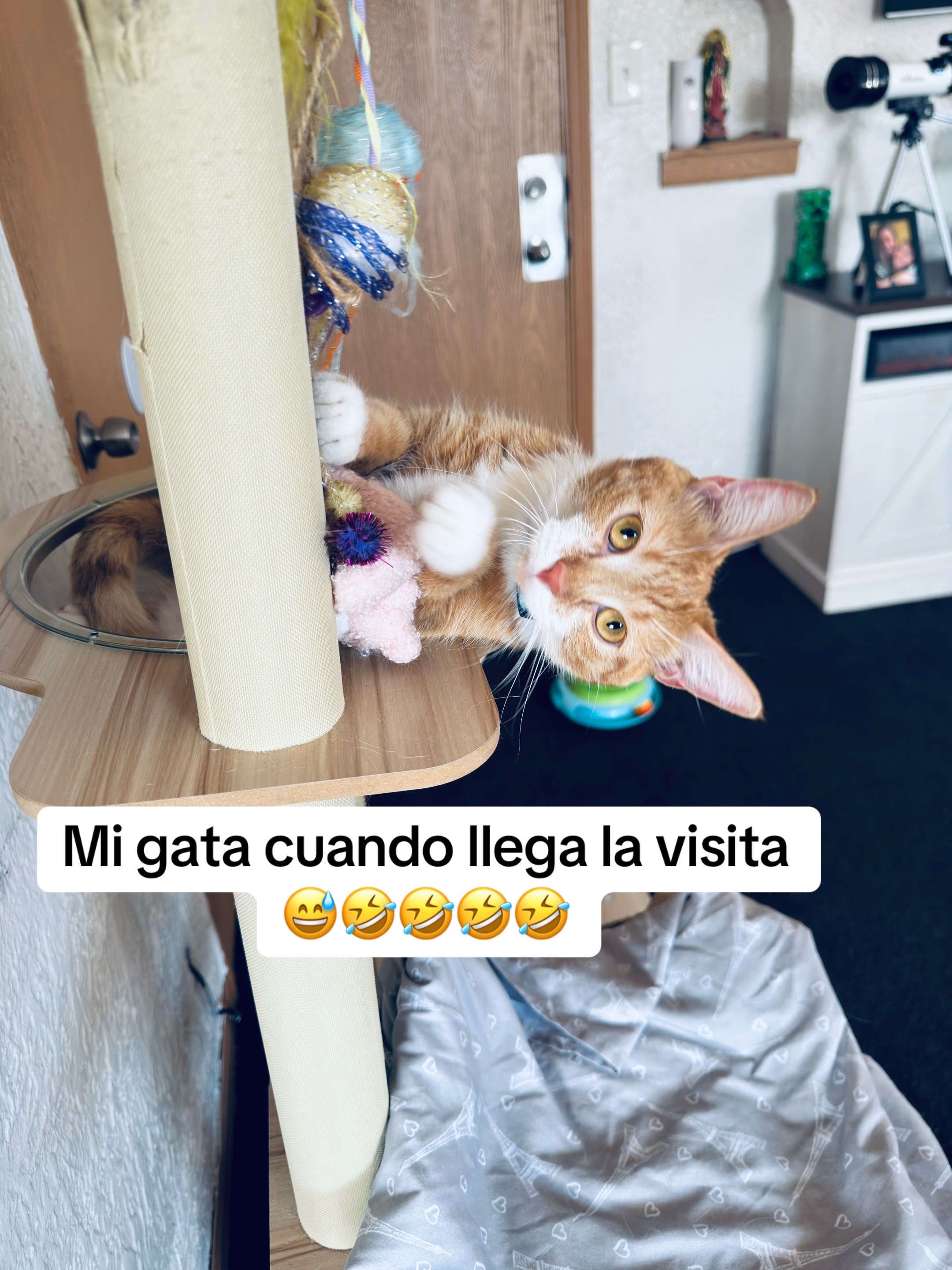 @Indres