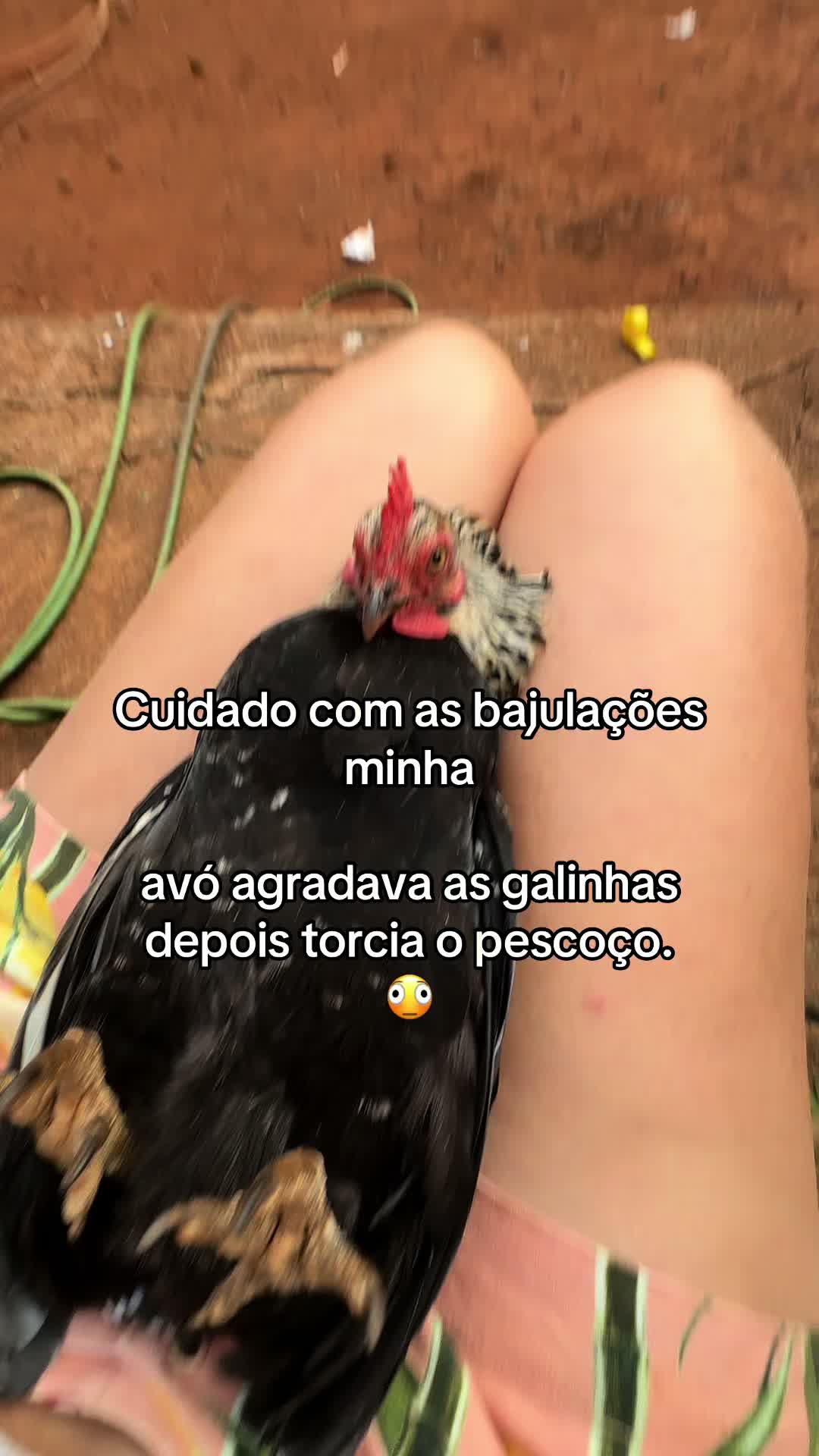 @mariadelima9645