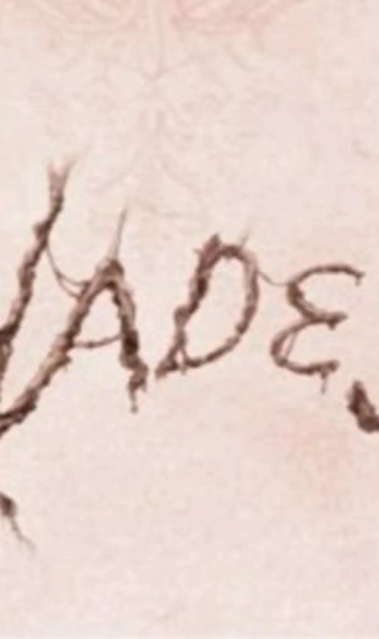 @Torture poet