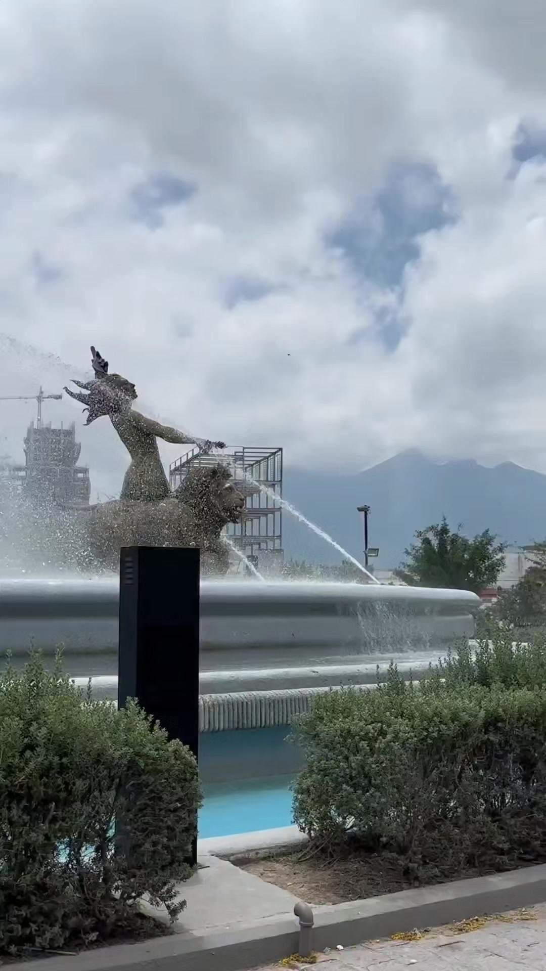 @Nuevo Le&oacute;n 10
