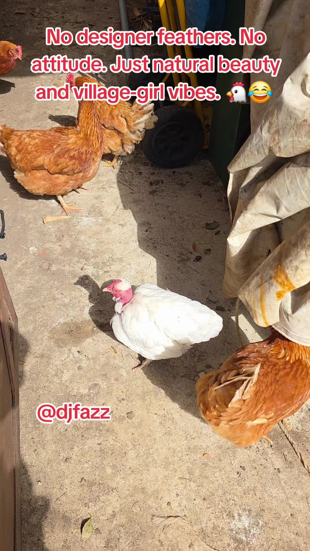 @DJFAZZ 🇳🇬🇦🇺🇫🇮🇬🇲