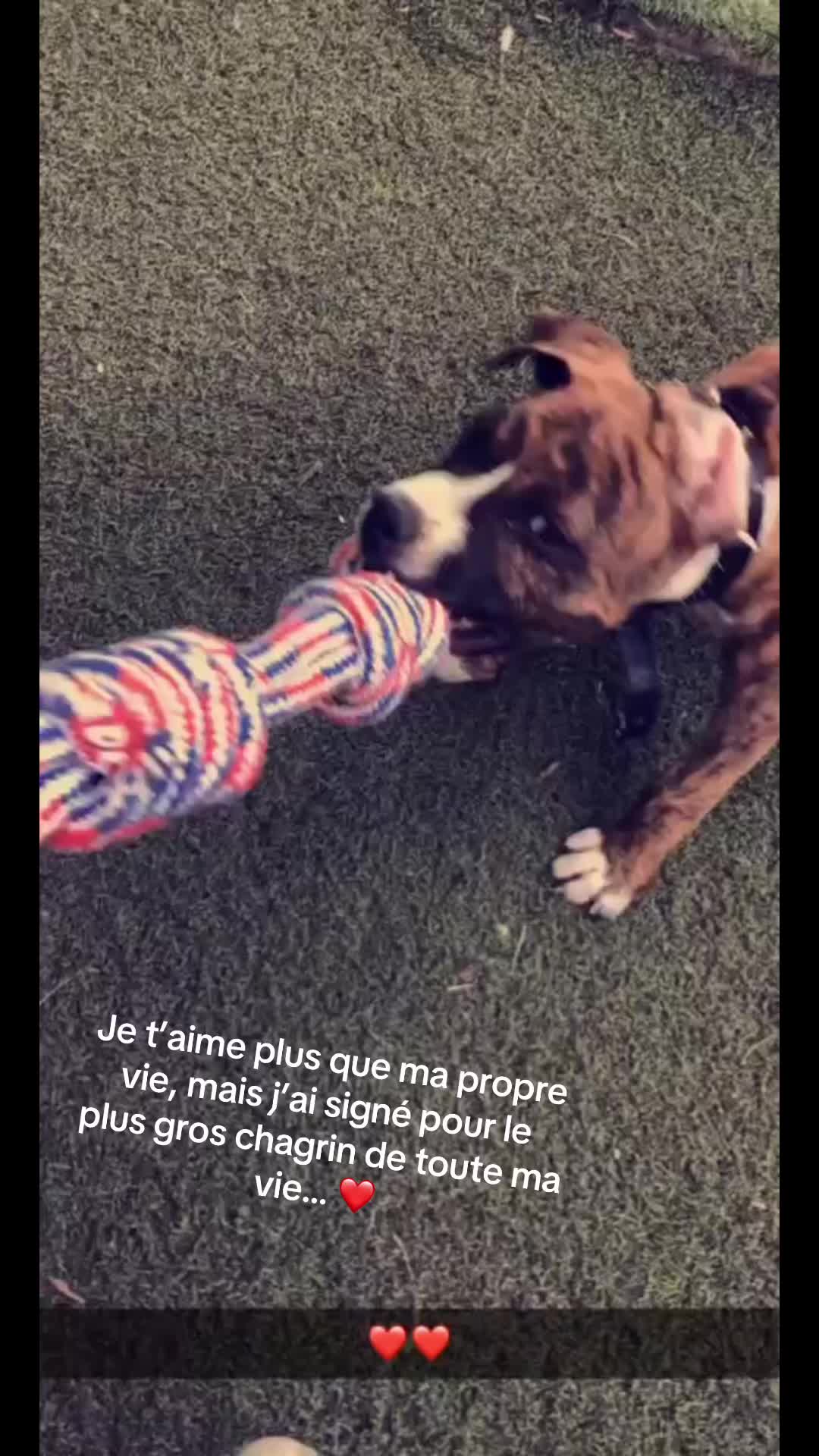 @M&eacute;lanie 🦔