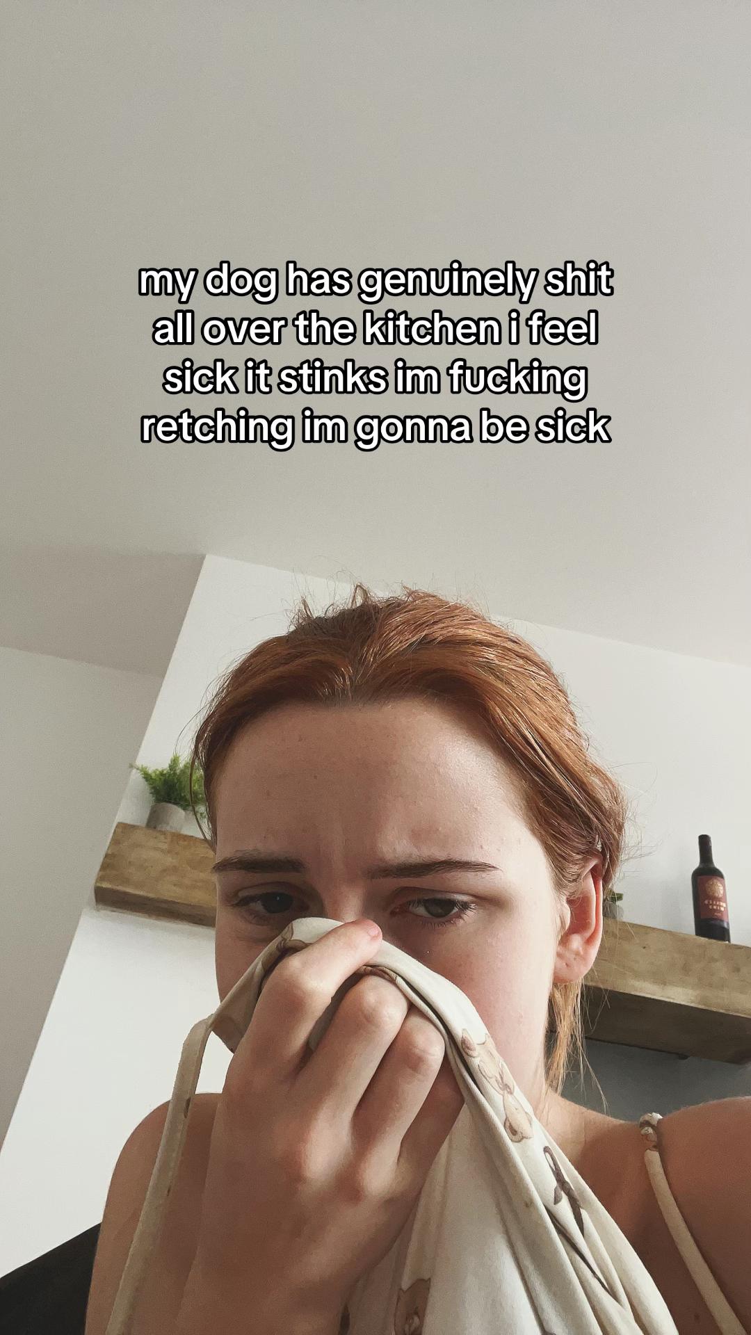 @partyqueef