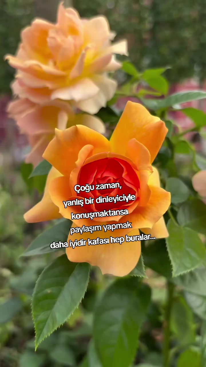@kyplrdym