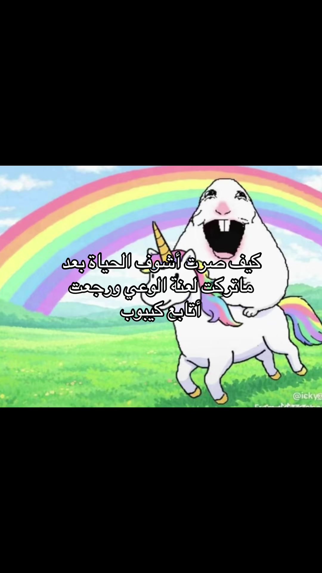 @Elissa