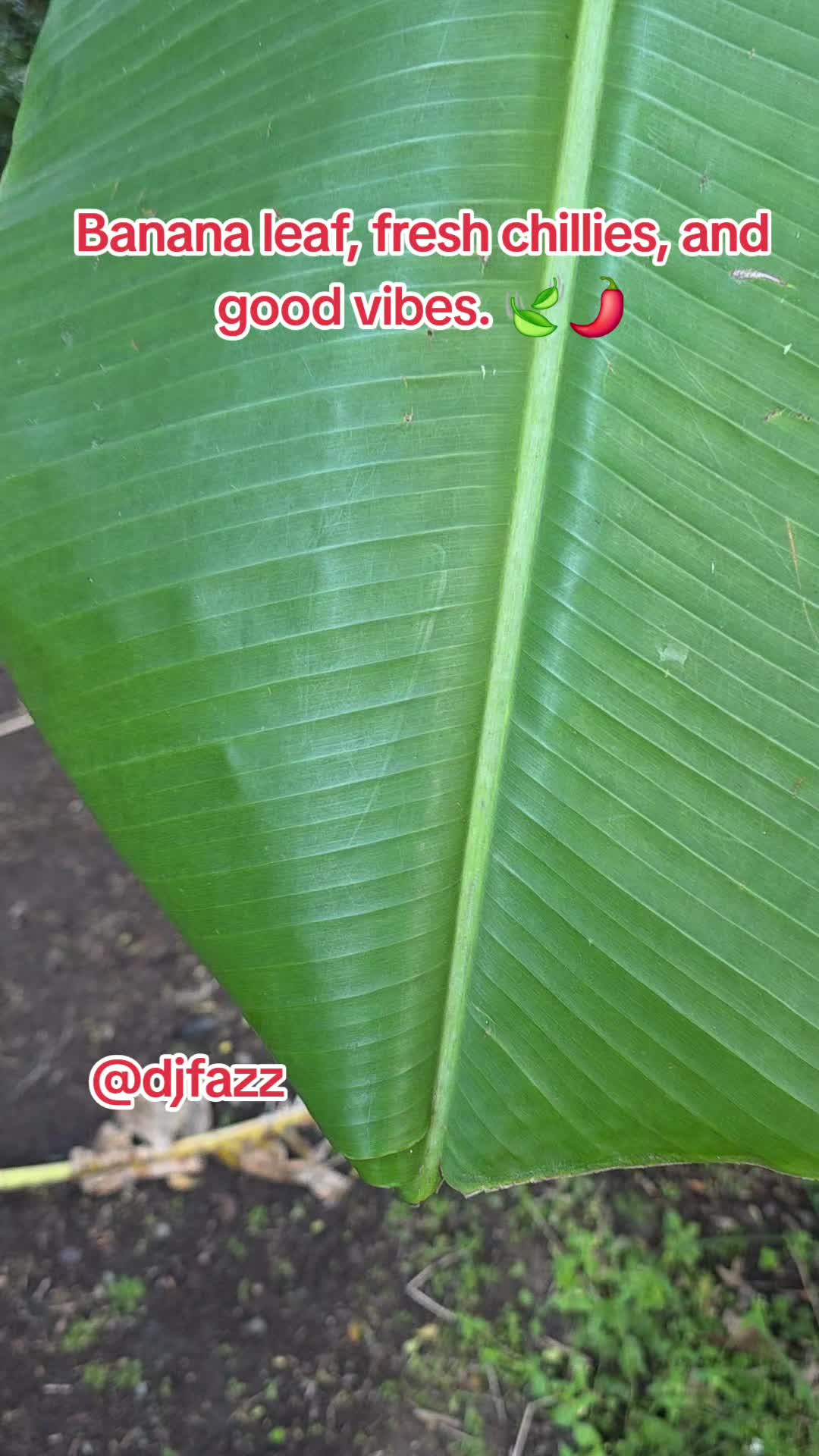 @DJFAZZ 🇳🇬🇦🇺🇫🇮🇬🇲