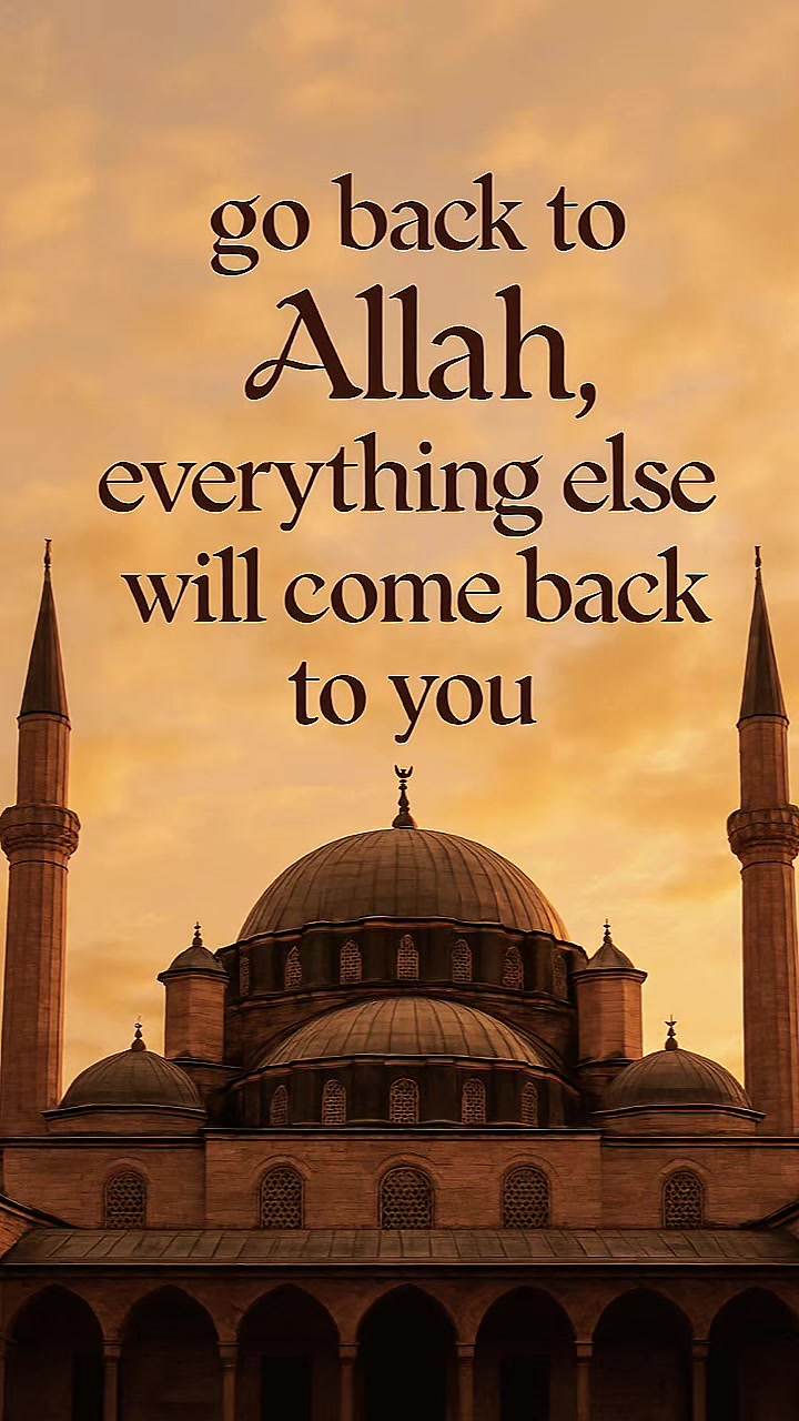 @Deen over Dunya🕊️✨