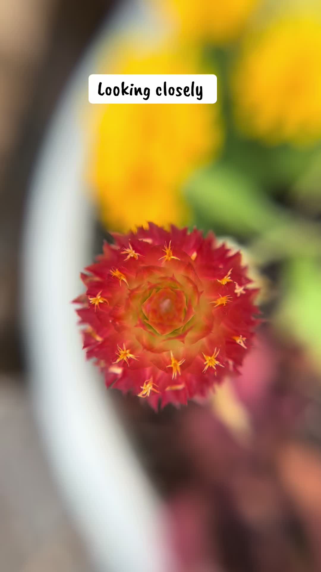 @Naturelover