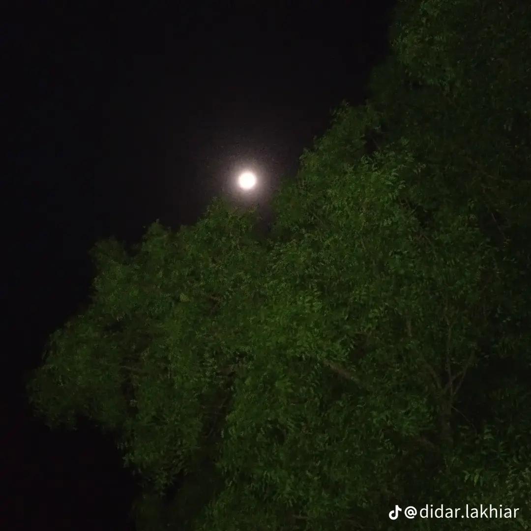 @𝒈𝒐𝒑𝒂𝒍💚 𝒎𝒂𝒌𝒘𝒂𝒏𝒂