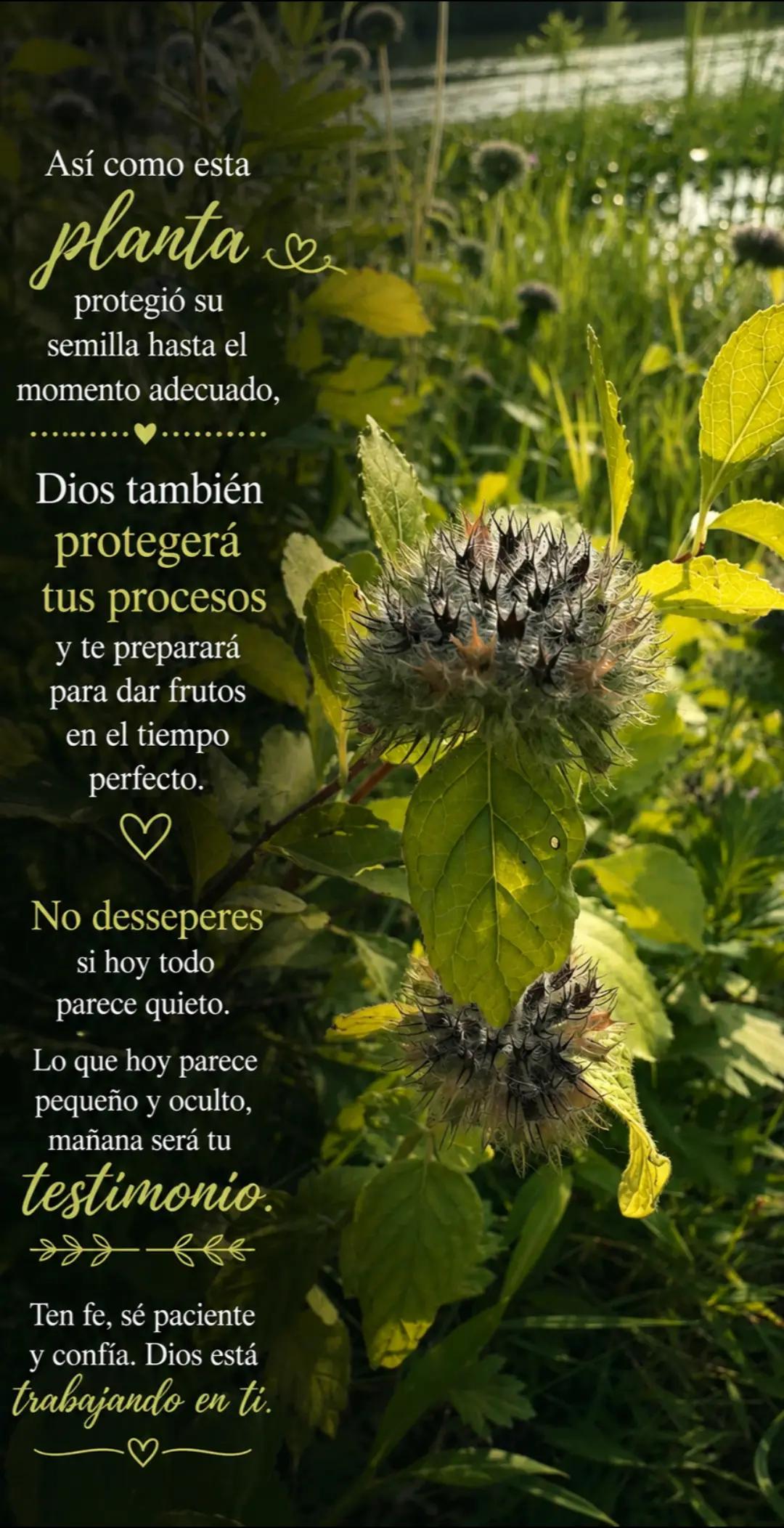 @&diams;️🤹&zwj;♀️E5T3L1T4 ESCOLTA D'MERY