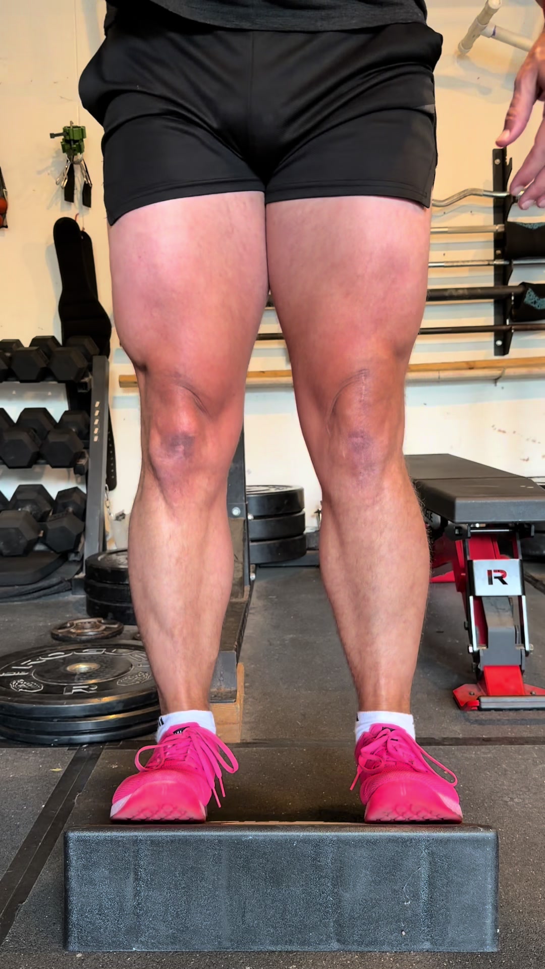 @The Dadbod Gym