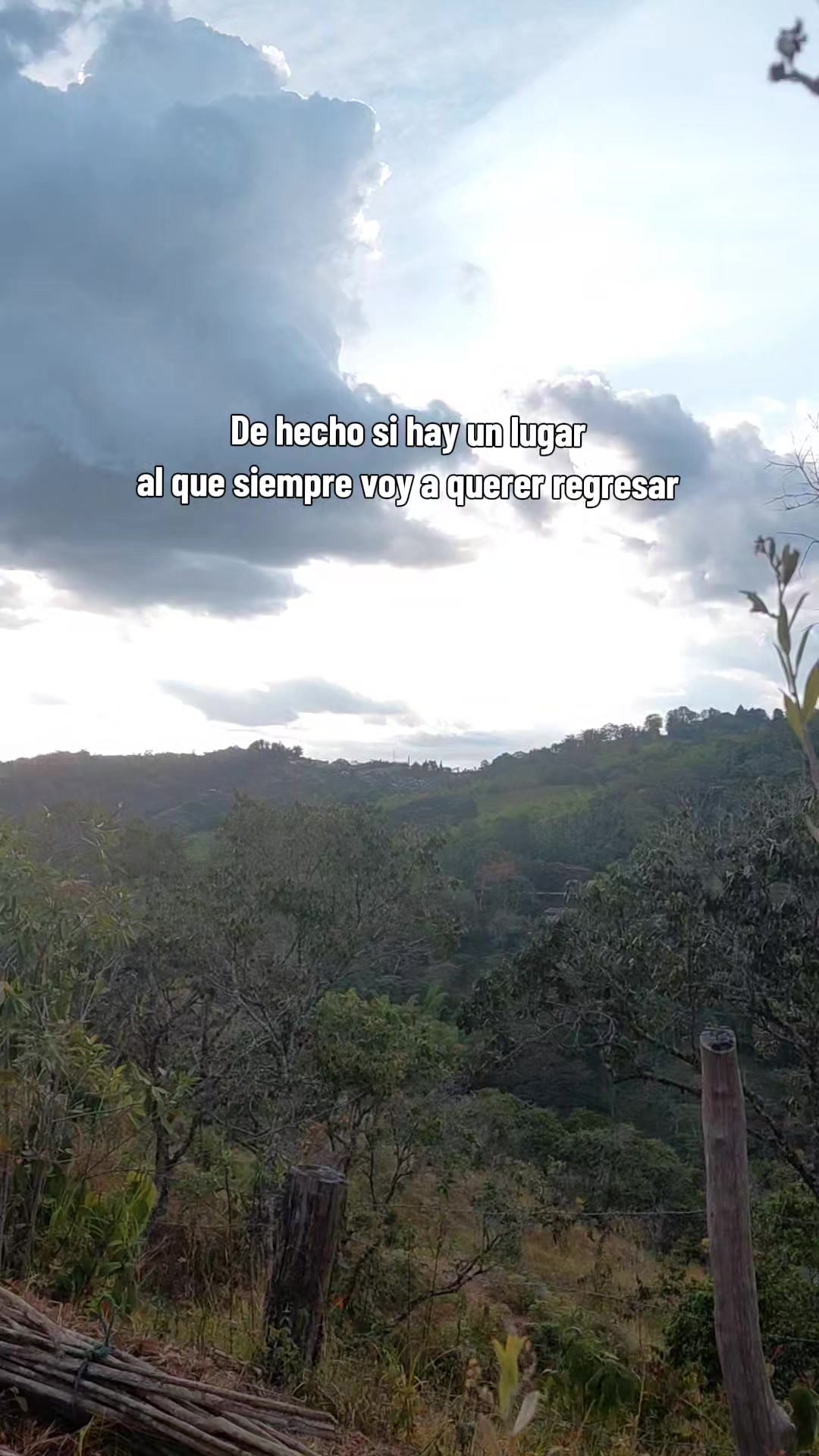 @Carol🦋