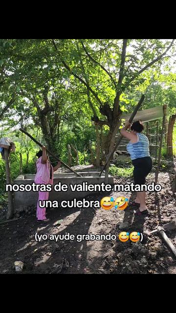 @🦋 L&oacute;pez 🦋