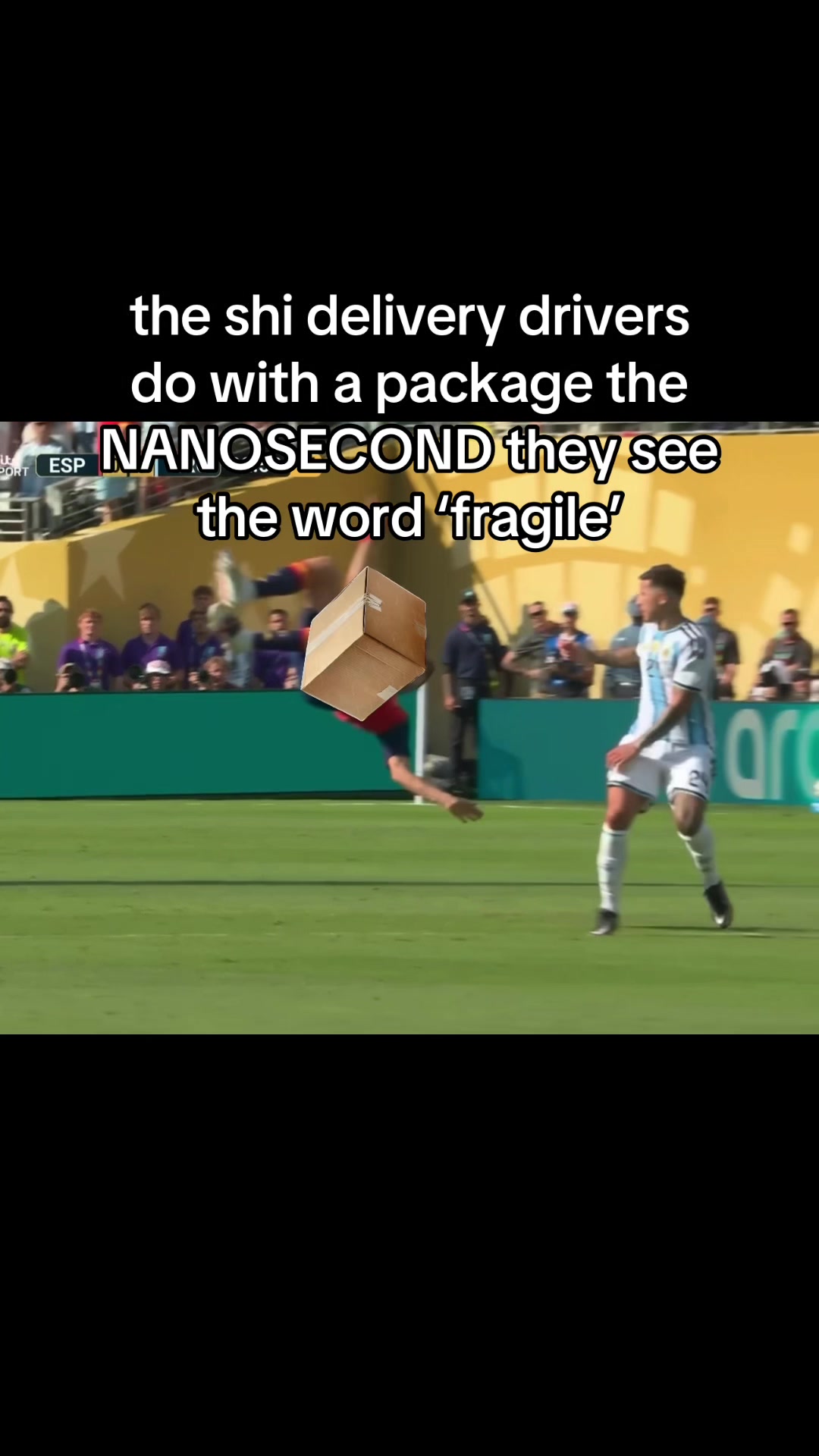 @6salmon9