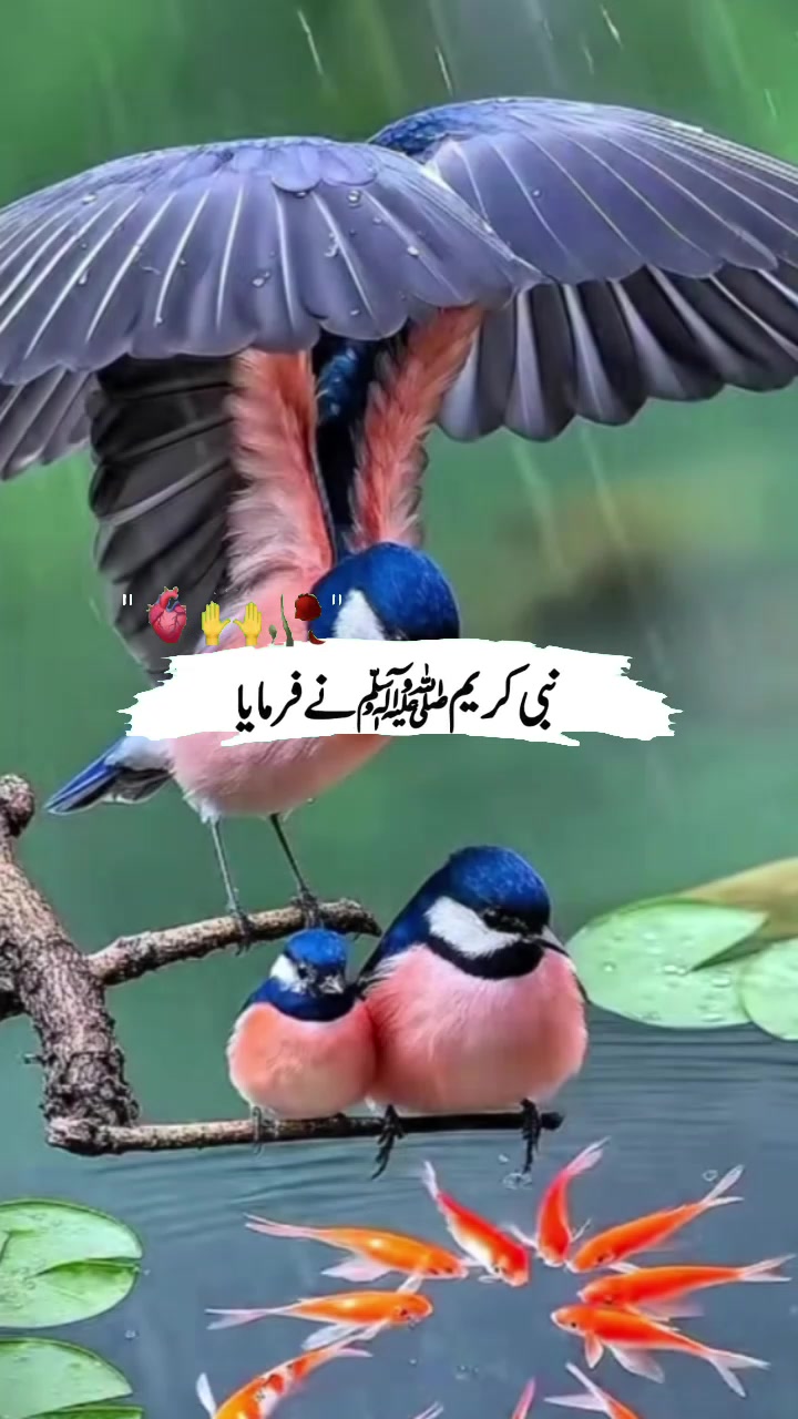 @😍Soni kuri😍