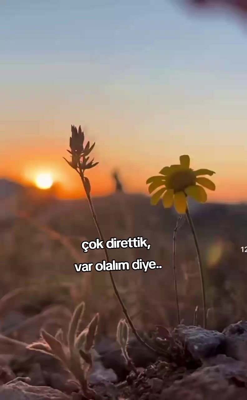 @kyplrdym