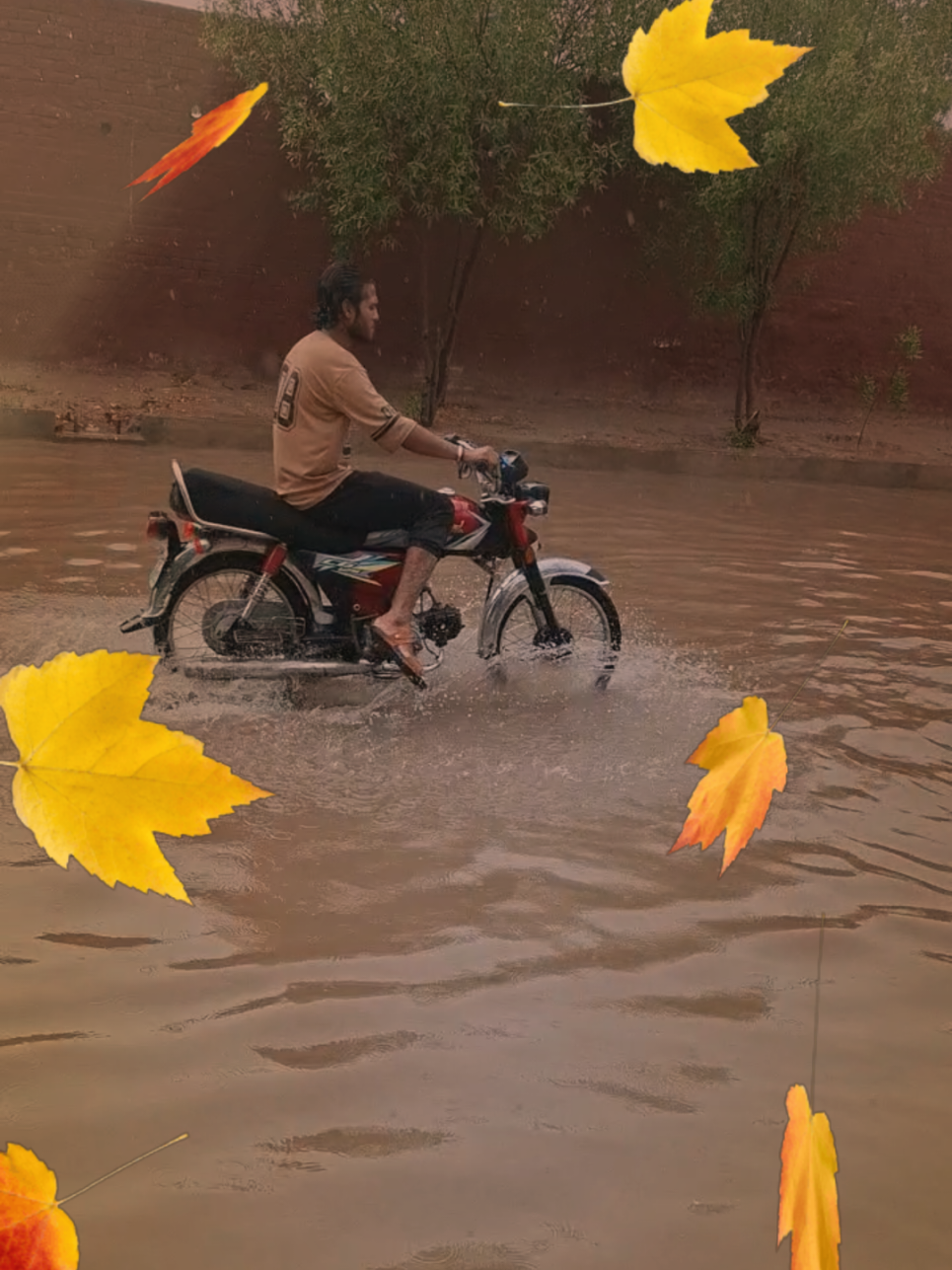 @Umair Bhatti Burewala