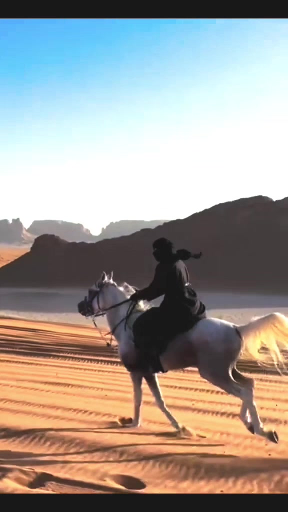 @الفارسة الملثمة 🐎🥷