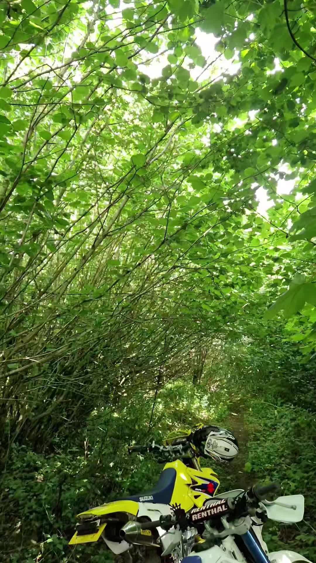 @drz4illa