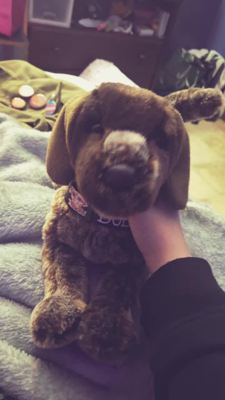 @🏳️&zwj;⚧️🐾rᥱ᥊🐾🏳️&zwj;⚧️