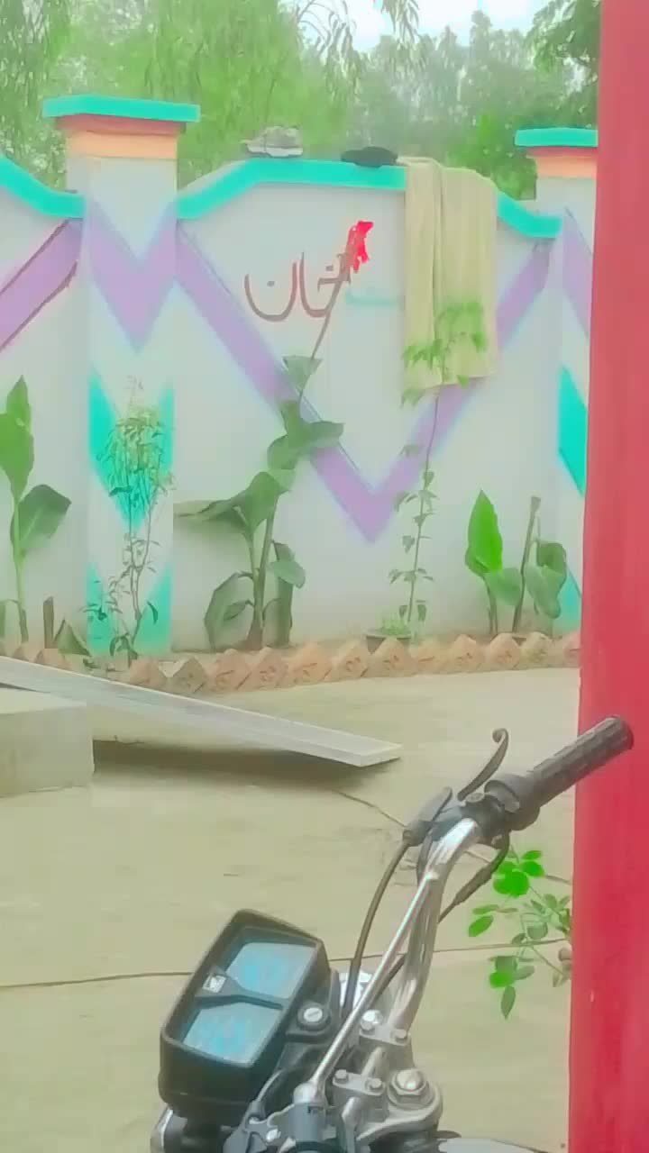 @💗ALI JAN💗
